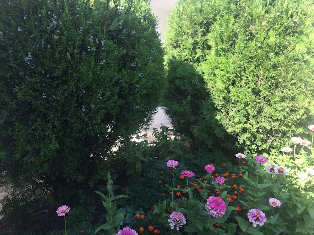 Montenegro central point