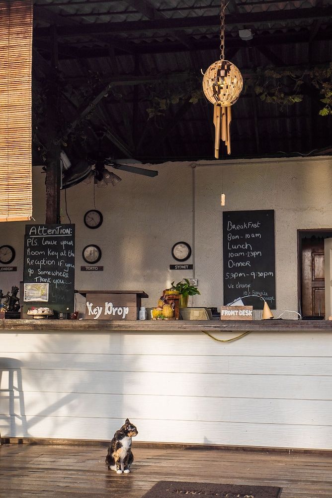 1511 Coconut Grove 2