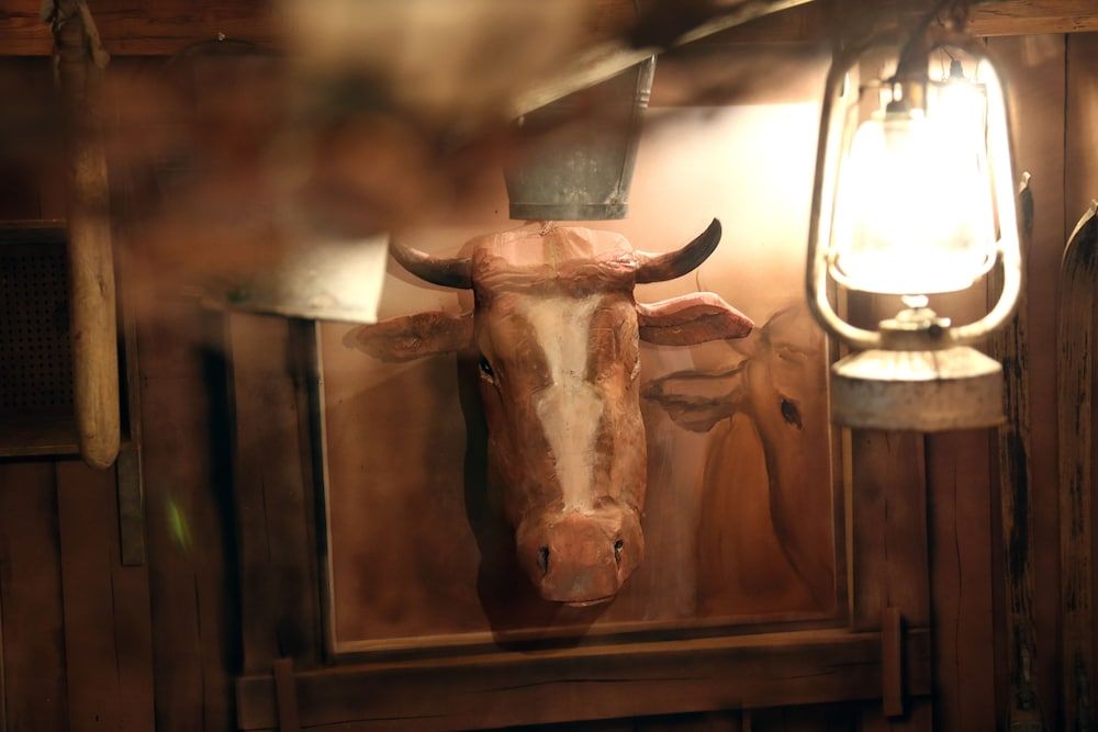 Hotel von Rotz 2 Hotel von Rotz 2