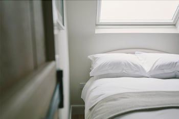 Cat and Custard Pot Inn 2