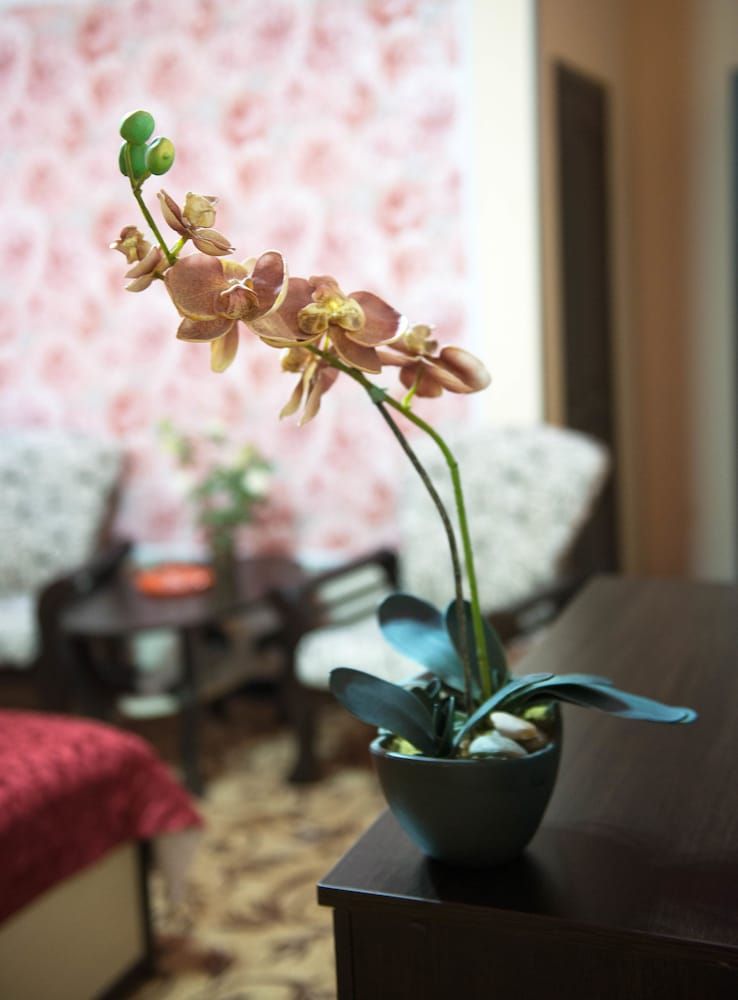 Siyanie Hotel 3