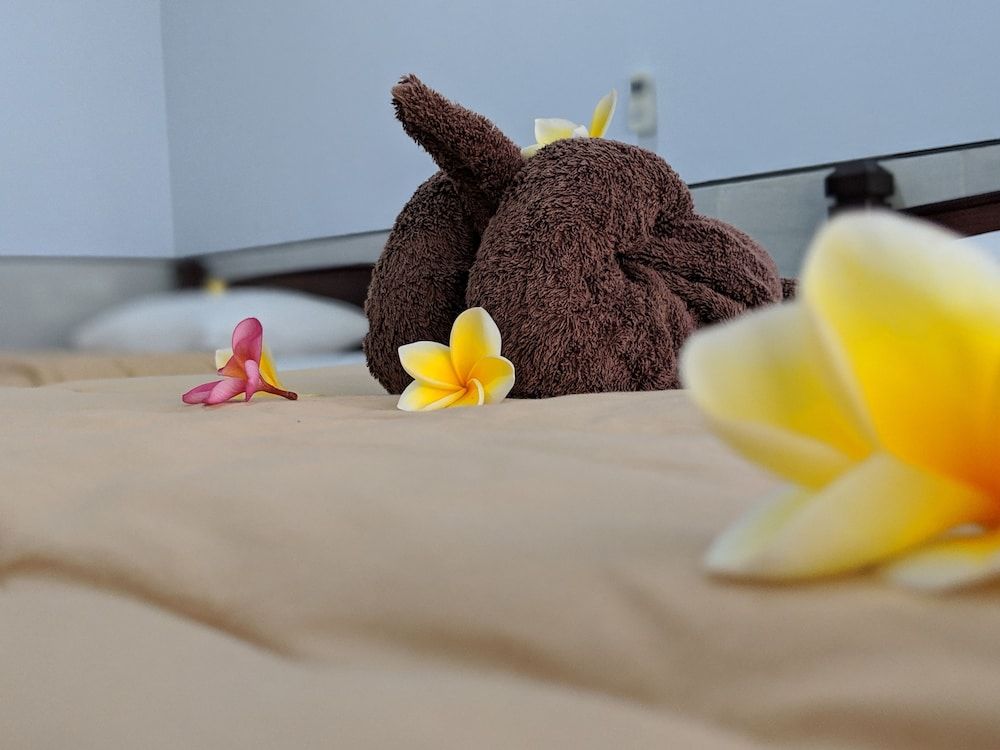 Serangan Inn Mimba 3