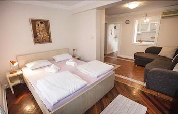 Apartment Centrala - Near National Museum 1