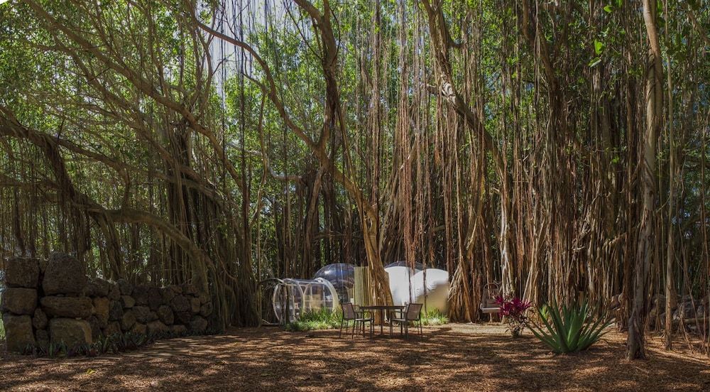 Bubble Lodge Ile Aux Cerfs 5 étoiles à Trou d'Eau Douce