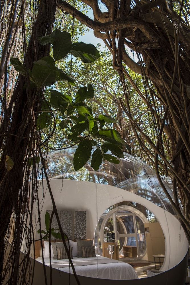 Bubble Lodge Ile Aux Cerfs 3