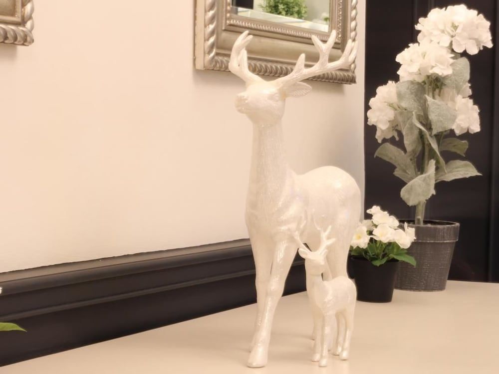 Kildare House Hotel 2