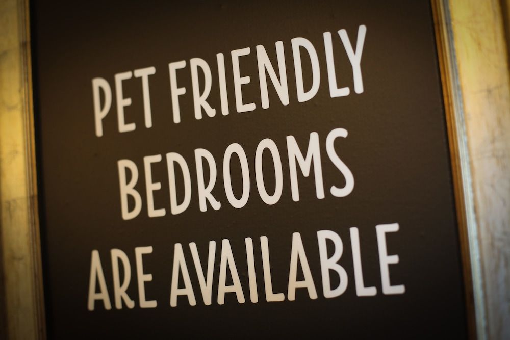 The Lindisfarne Inn 2