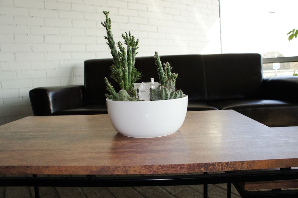 Zaliasis Slenis Hotel 3