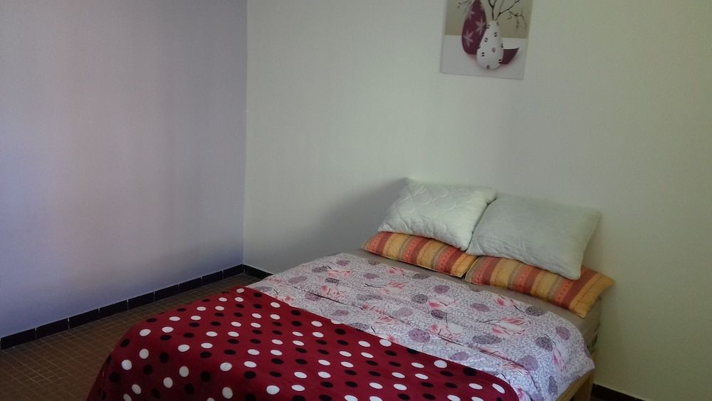 Gazania B&B 2