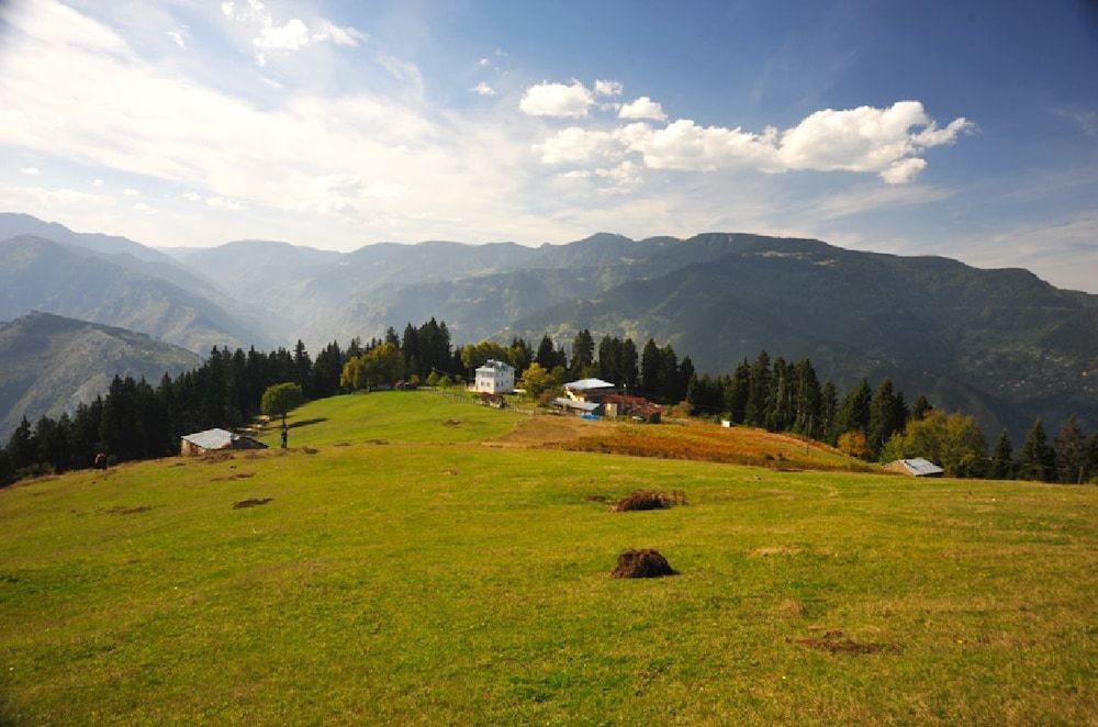 Pilav Dagi Yavuzyilmaz Tesisleri