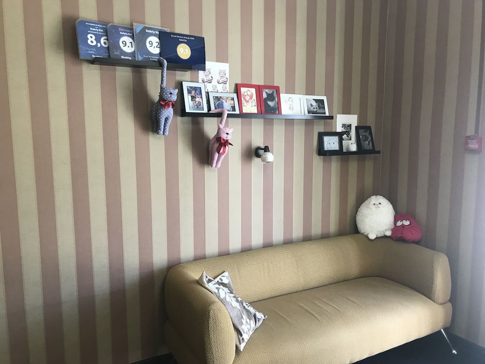 Good Cat - Hostel 3