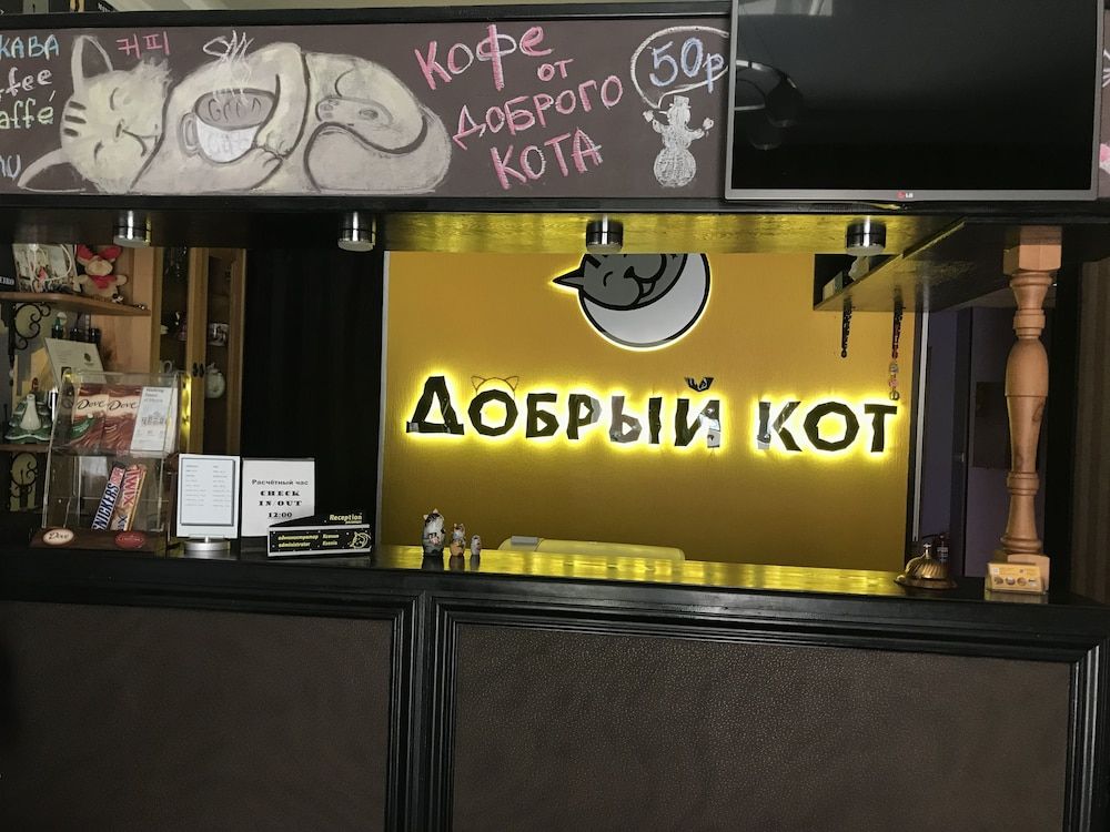 Good Cat - Hostel 2