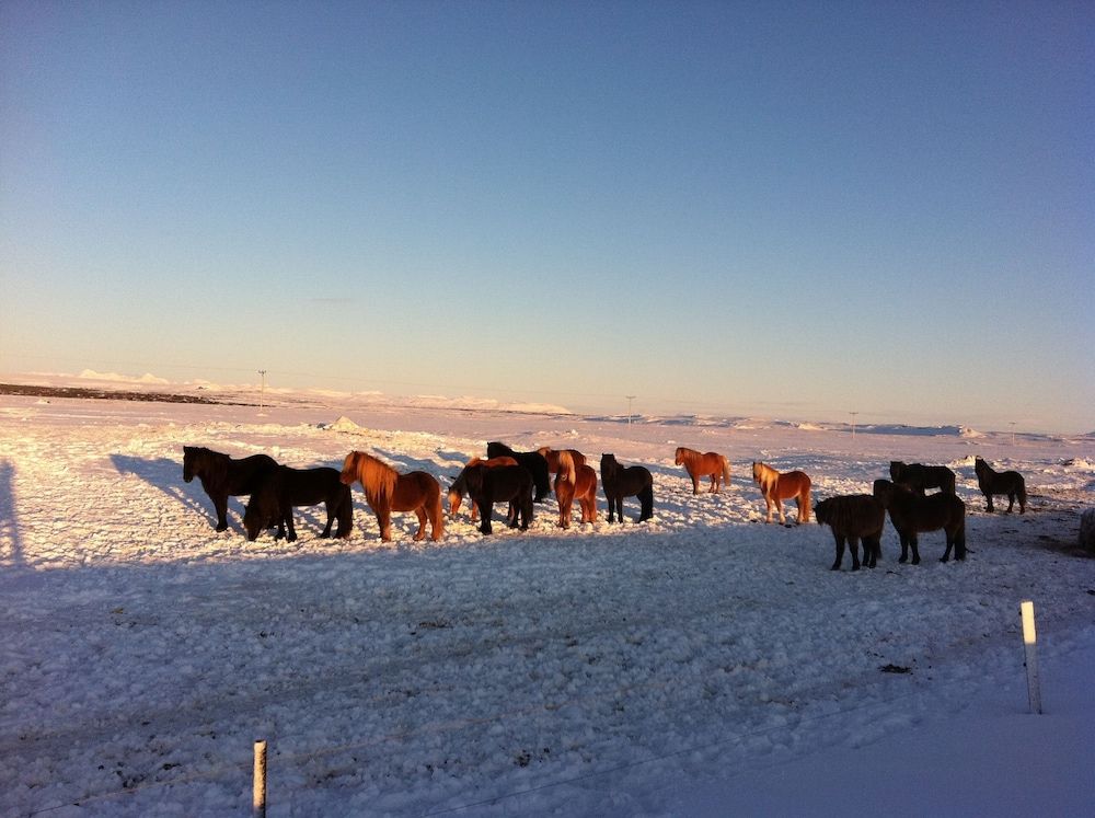 Country Dream guesthouse
