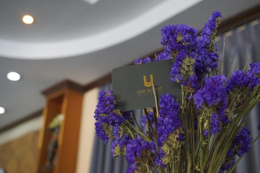 U Rip Resort 3 U Rip Resort 3