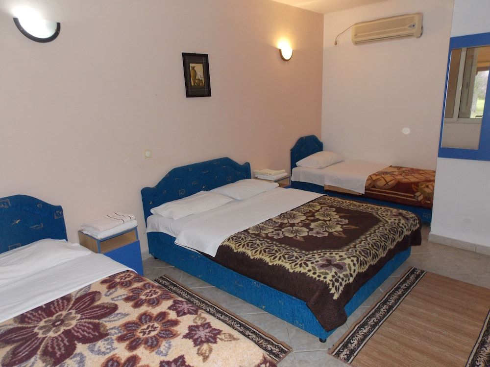 Delfini Apartments 2