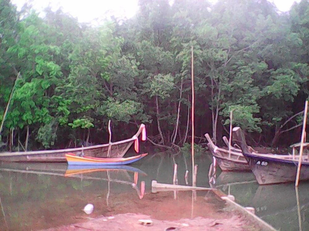 Pordee Shop 2