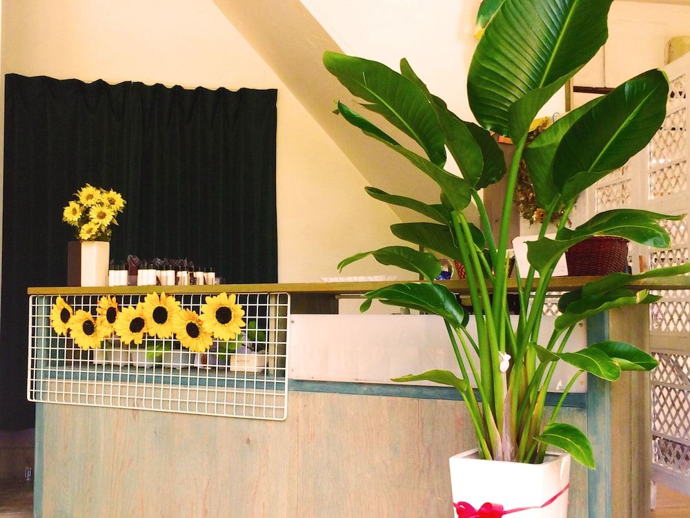 Shirahama Guesthouse U-chan-chi 2