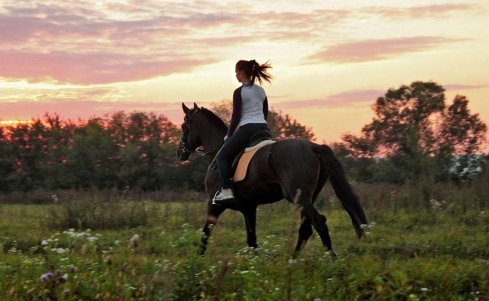 Tulip Inn Sofrino Park Hotel 2