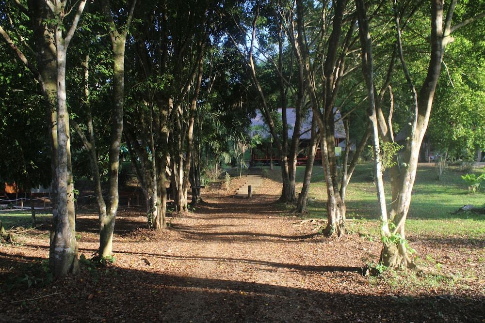 La Habana Amazon Reserve 2