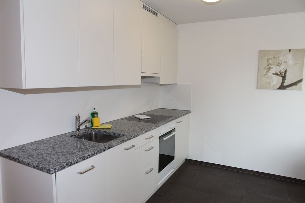 Swiss Star Oerlikon District 2