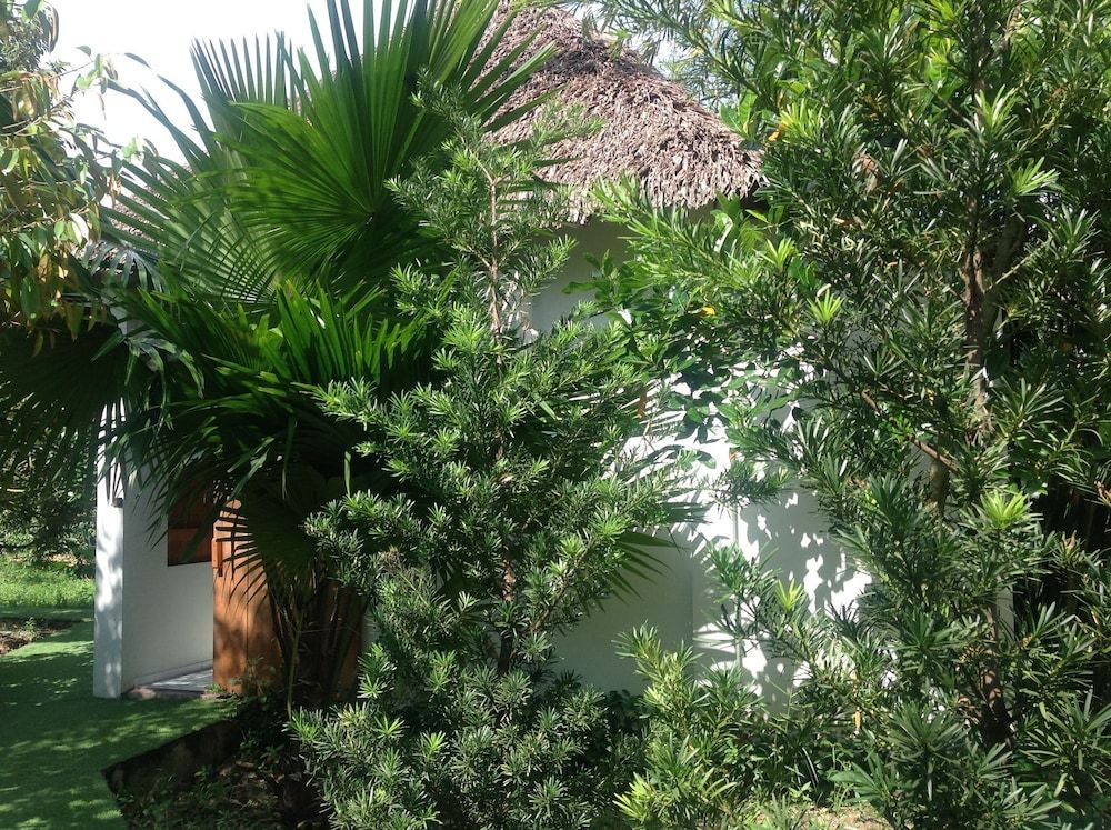 The Durian Lodge at Mekong 2