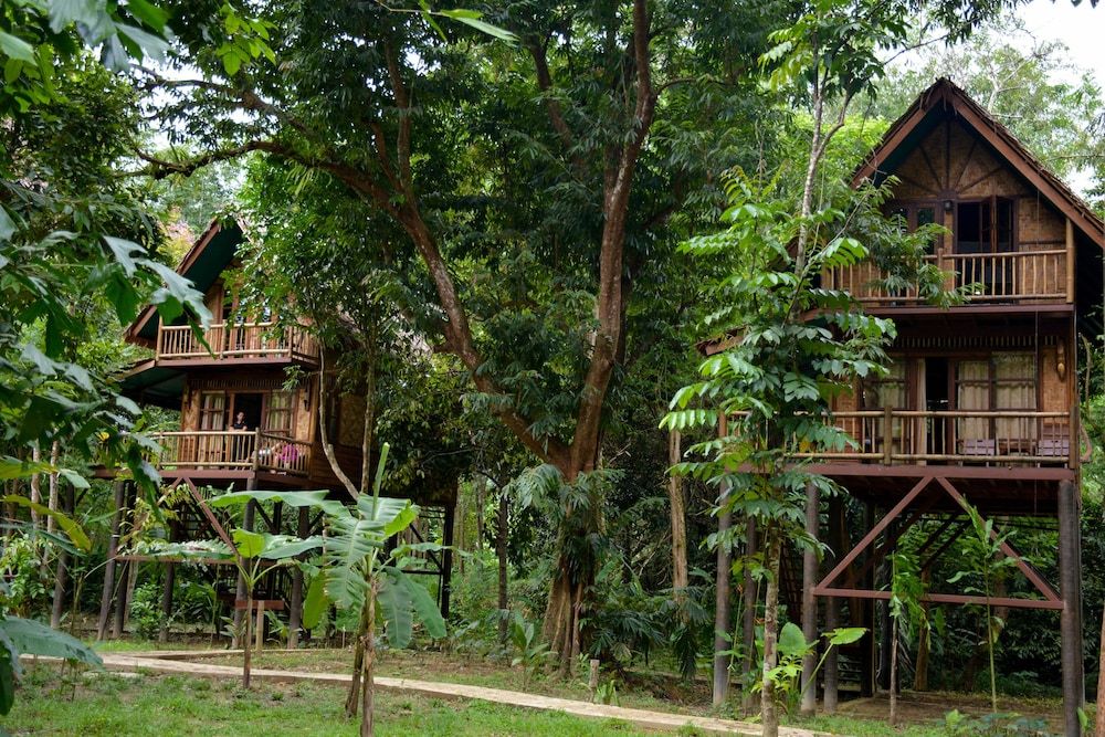 Our Jungle Camp - Eco Resort 3