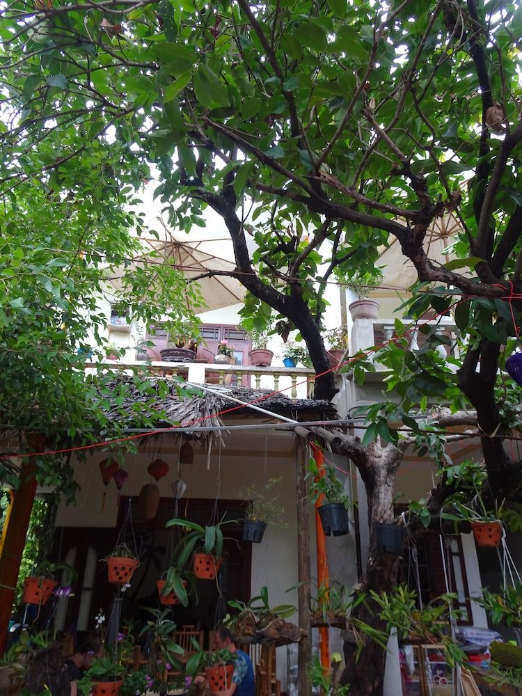 Ngo Khanh Homestay 2