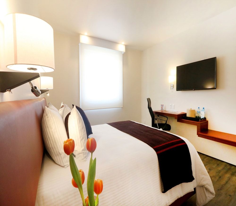 Misión Express San Luis Potosi 3