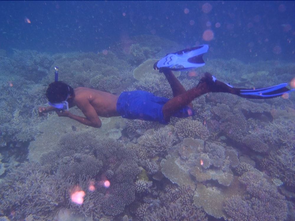 Dhonfulhafi Retreat B.Maalhos