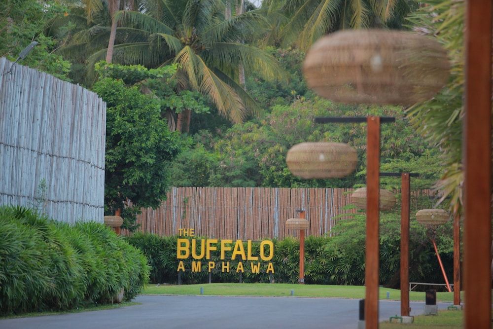 The Buffalo Amphawa 1