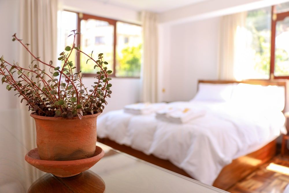 Qhini Hotel Boutique 1