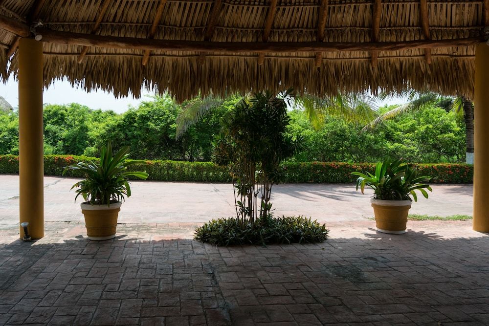 Hotel Cayman Suites 3