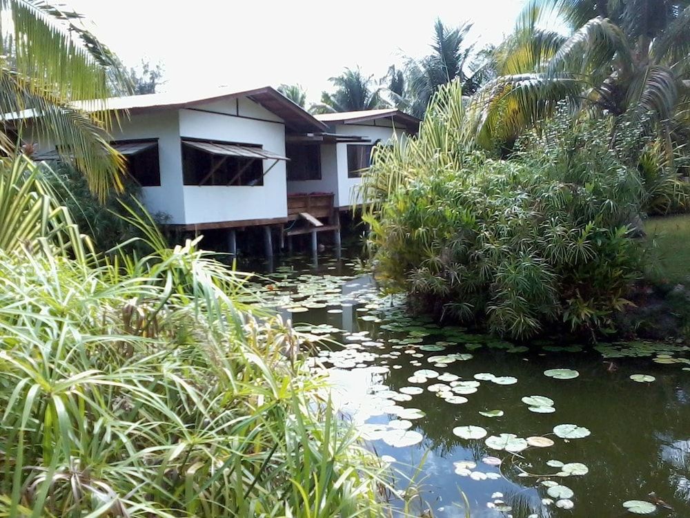 B&B Nature Song Island 2