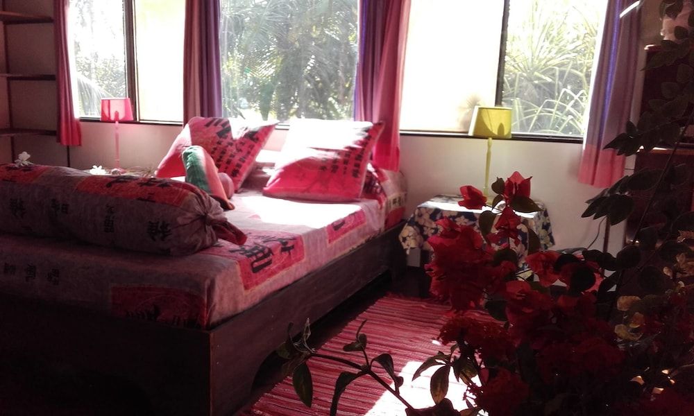 B&B Nature Song Island 3