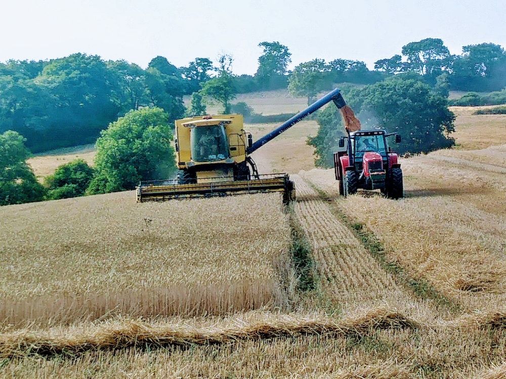 Higher Bruckland Farmhouse B&B