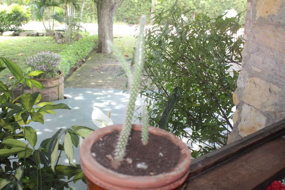 Hotel Bristol Aeropuerto 3