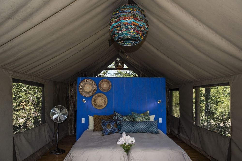 Hyena Pan – All Inclusive 3