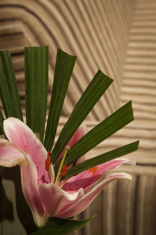 Highfield Mews Motel 2