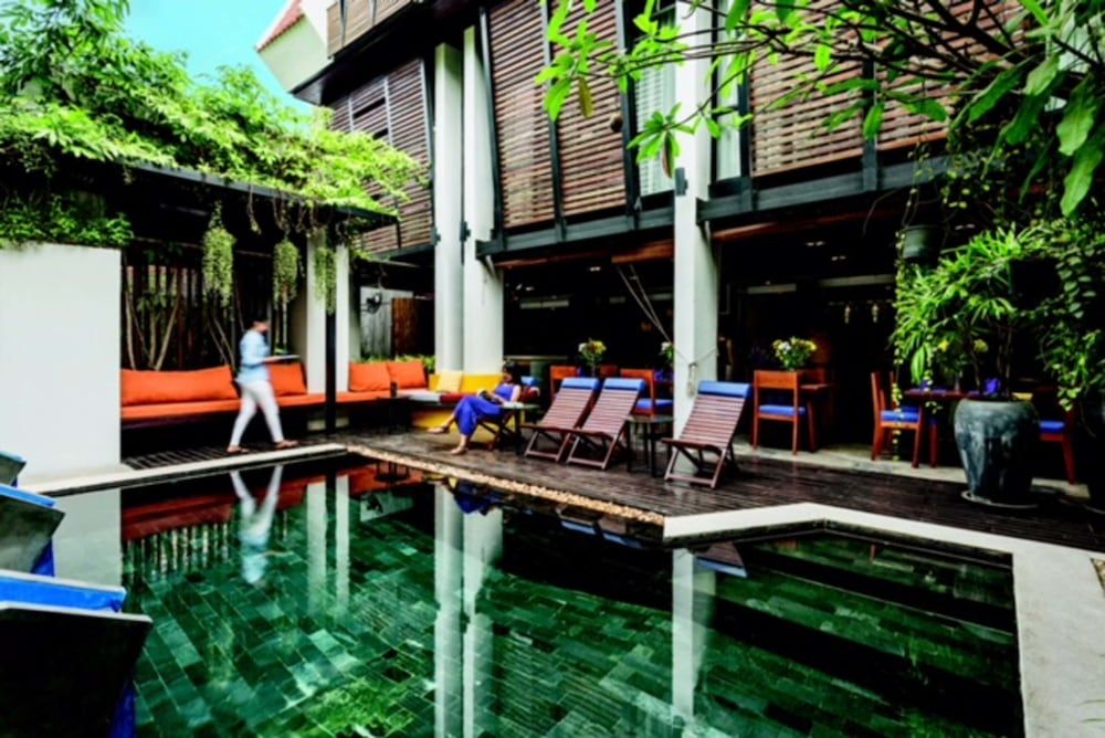 The Butterfly Pea 1 The Butterfly Pea 1