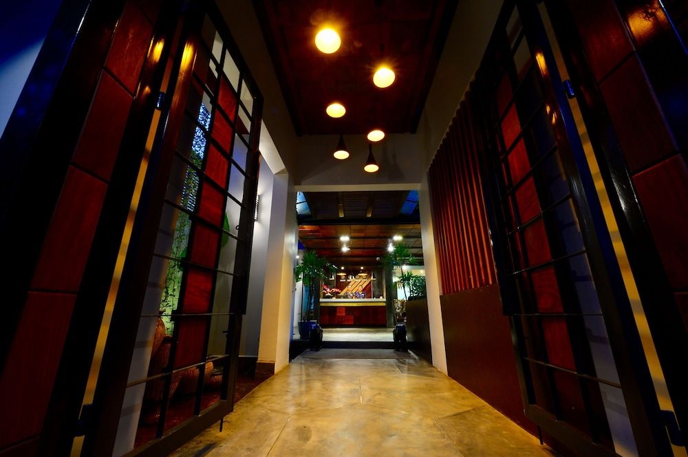 The Butterfly Pea 3 The Butterfly Pea 3