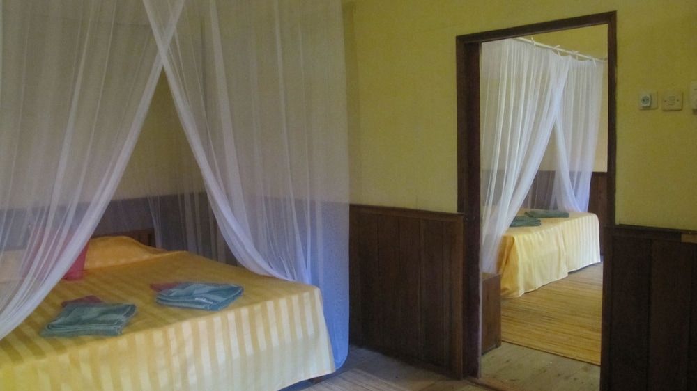 Rimba Orangutan Eco Lodge 3