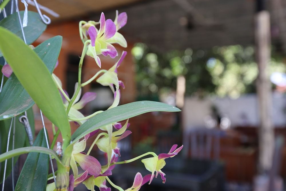 Eco-Home 2 Eco-Home 2