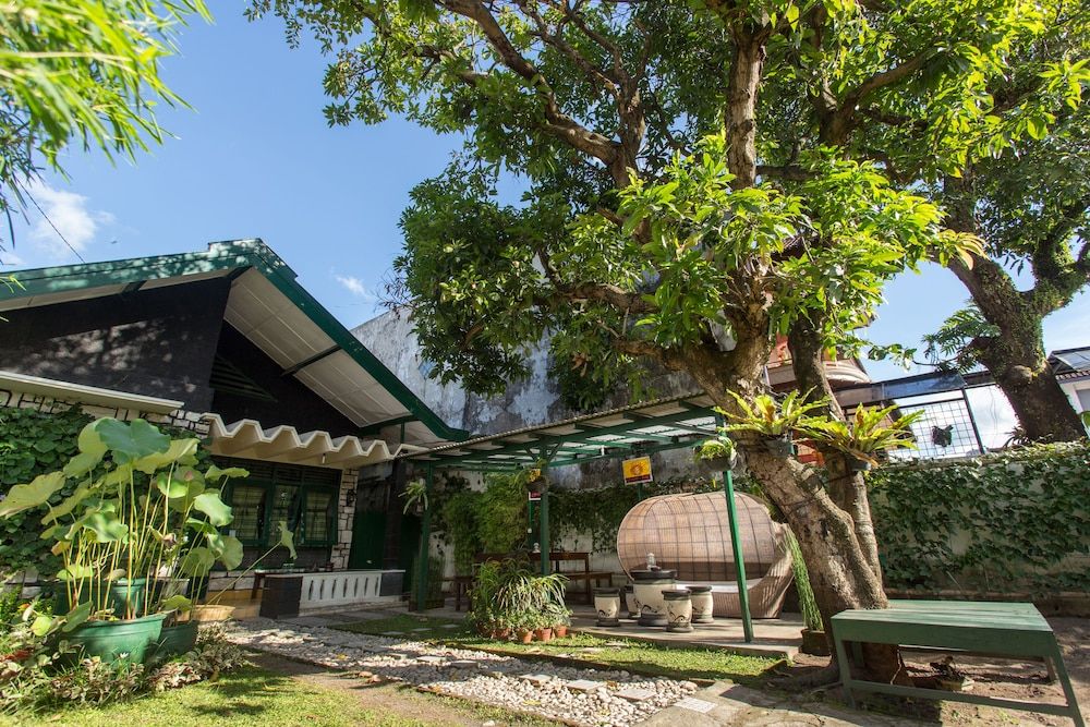 Mango Tree Dipudjo Homestay 1