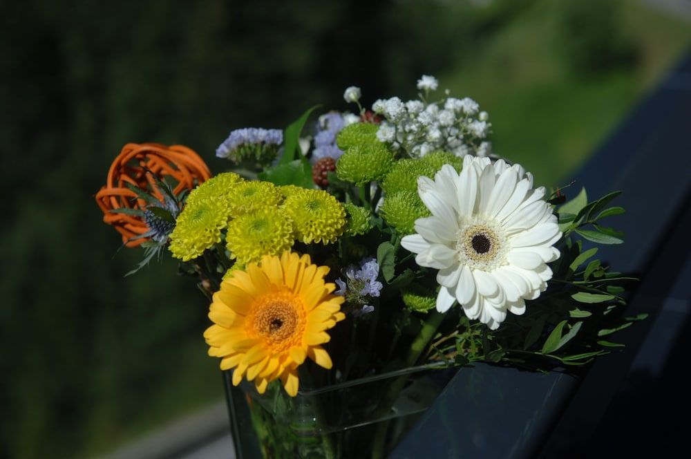 Alpinresort Damüls 2 Alpinresort Damüls 2