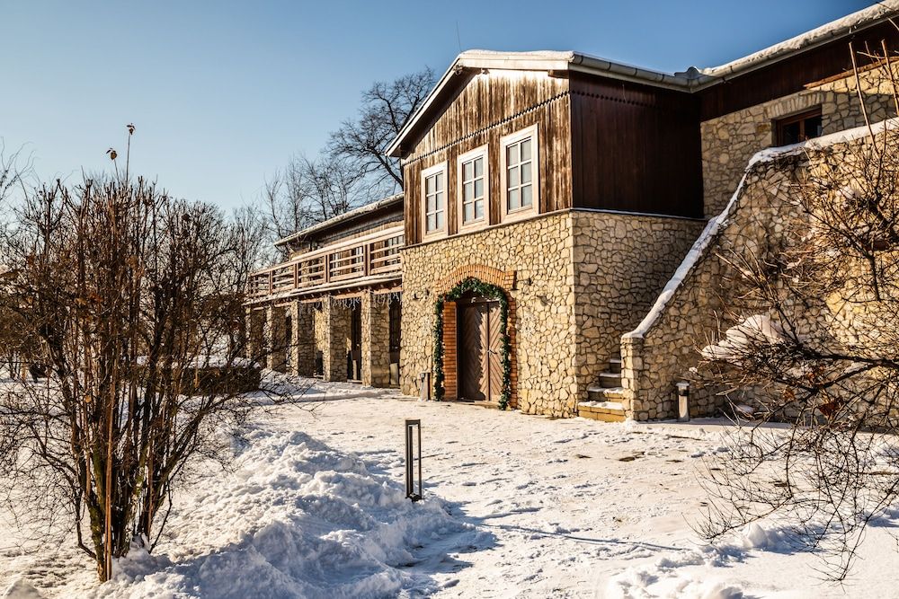 Dwor w Tomaszowicach 2