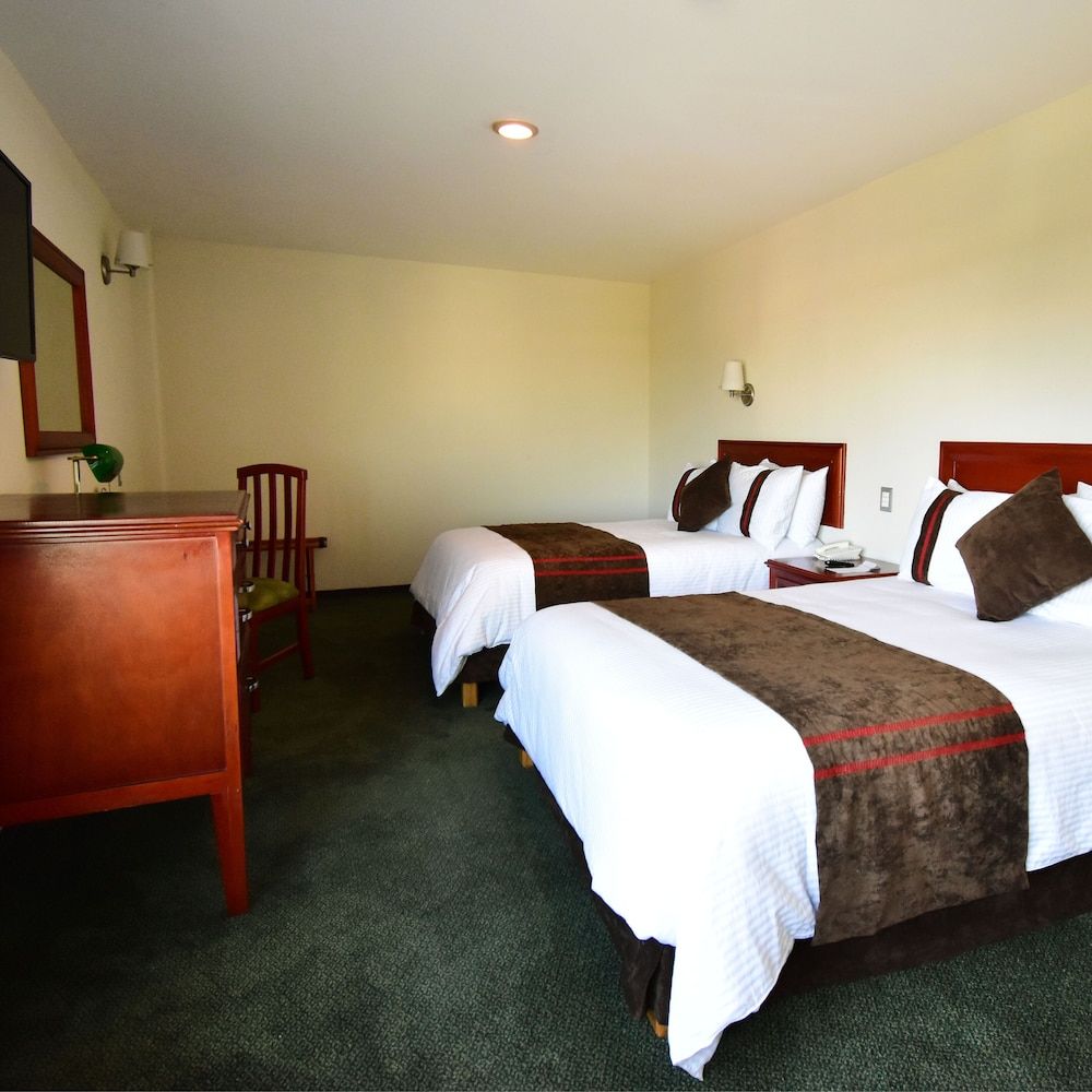 Mision Leon 4 estrellas en León