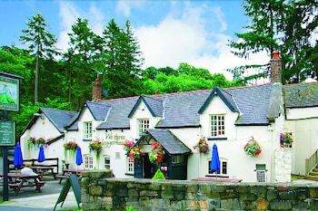 We Three Loggerheads