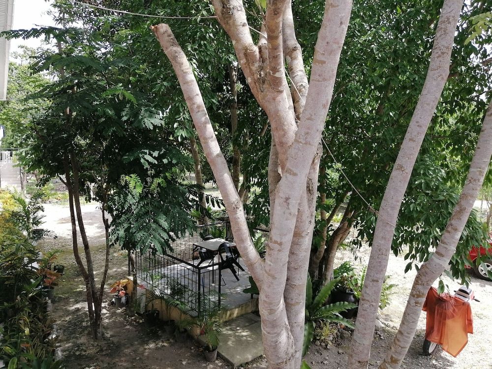 Almira Diving Resort 1 Almira Diving Resort 1