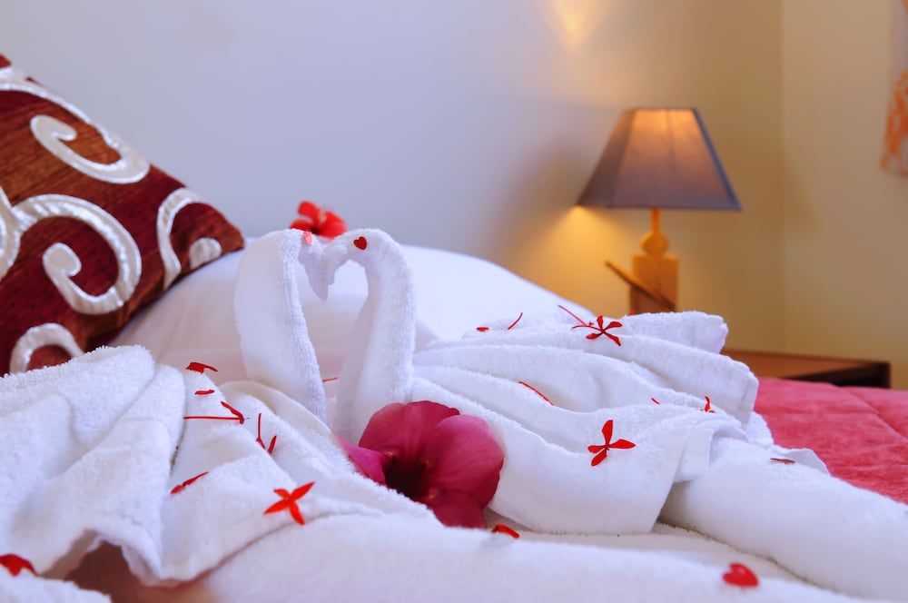 LE VILLAGE POMME CANNELLE 3