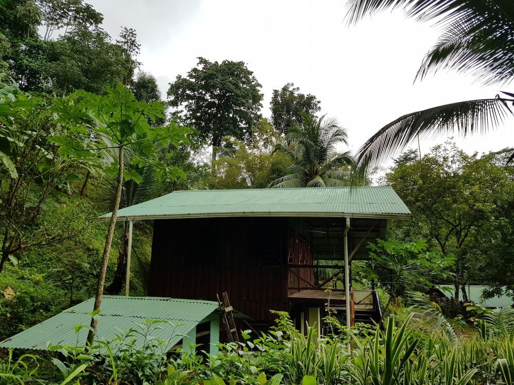 Drake Bay Paradise Lodge 2